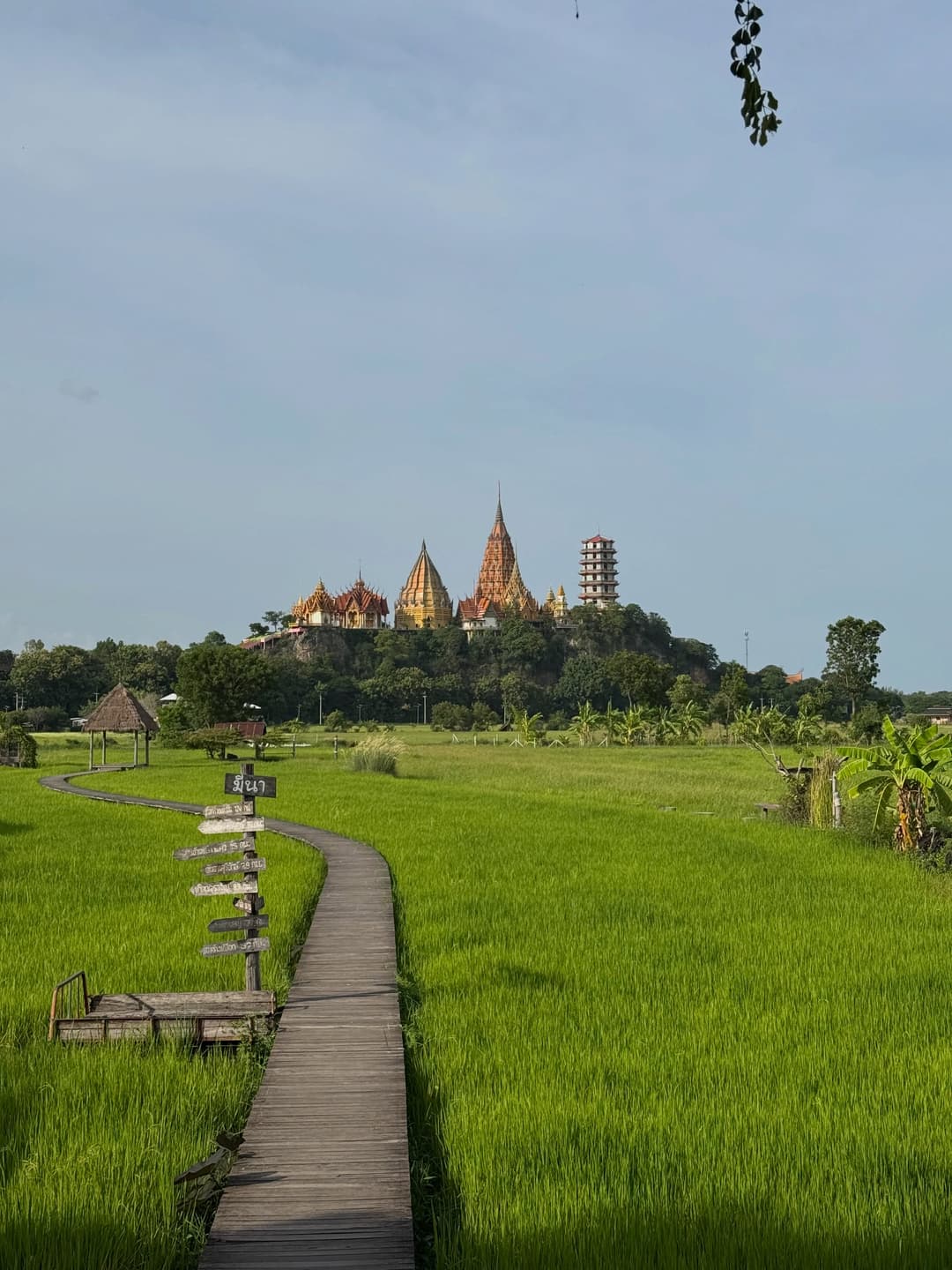 My Thailand Trip Memories 8