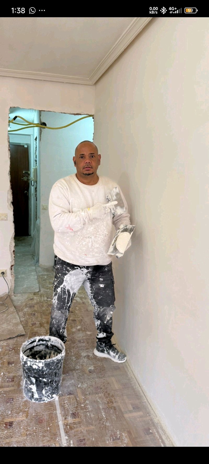 pintor oficial