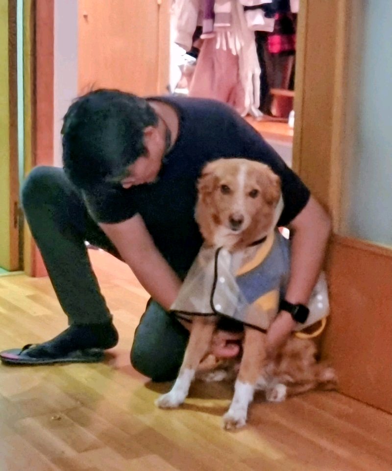 Cuidador de perros