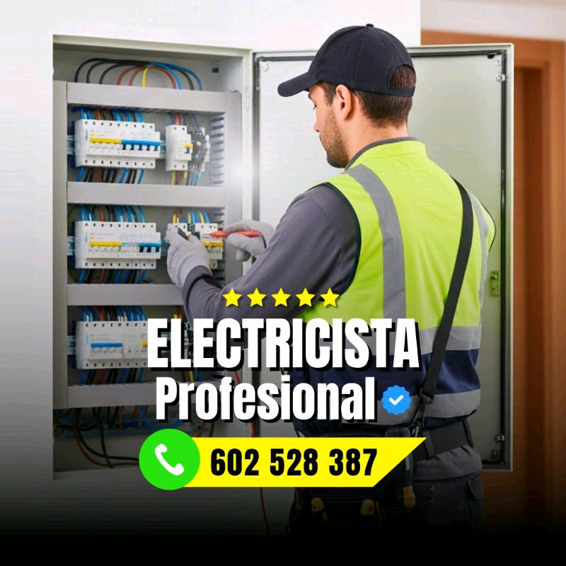 Electricista Profesional 