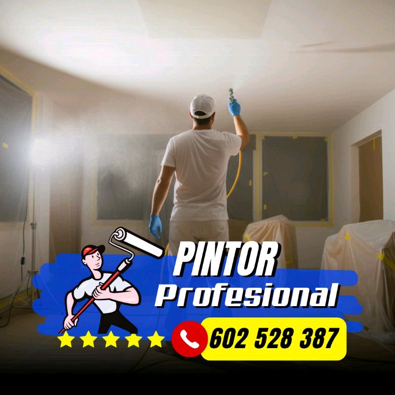 Pintor Profesional