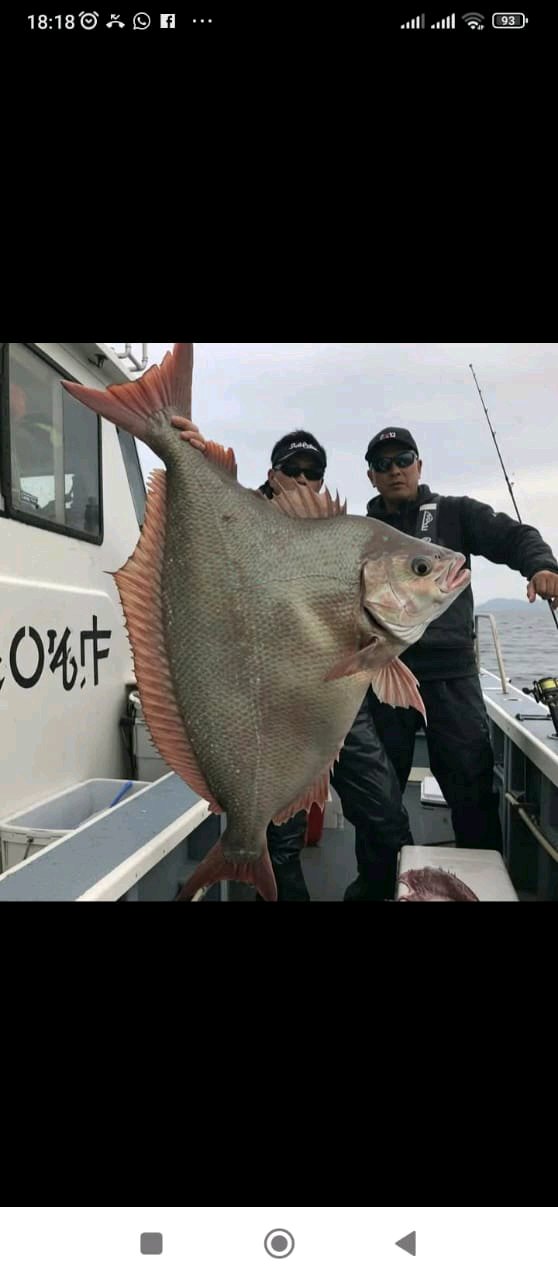 comercio de pescado 