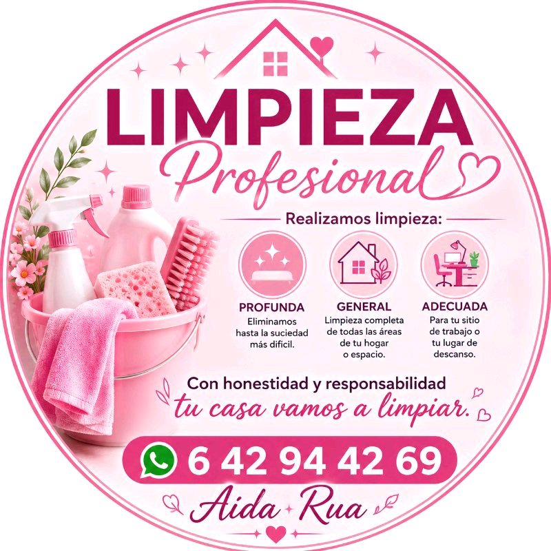 limpieza profunda al detalle