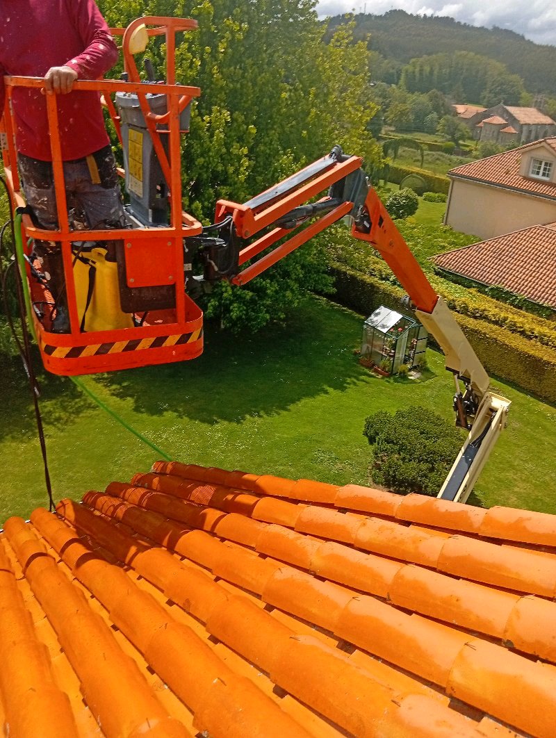 jardinería, pintura y limpieza