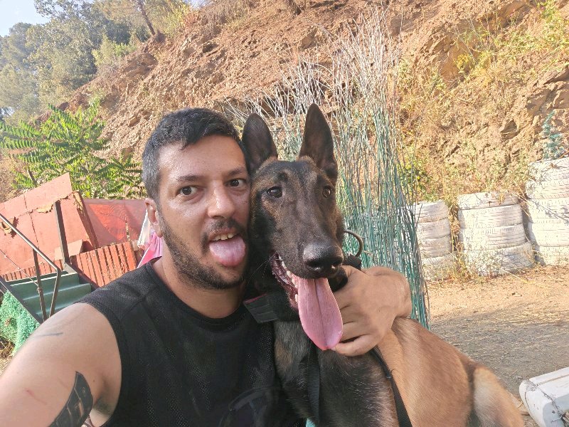 adiestrador canino 