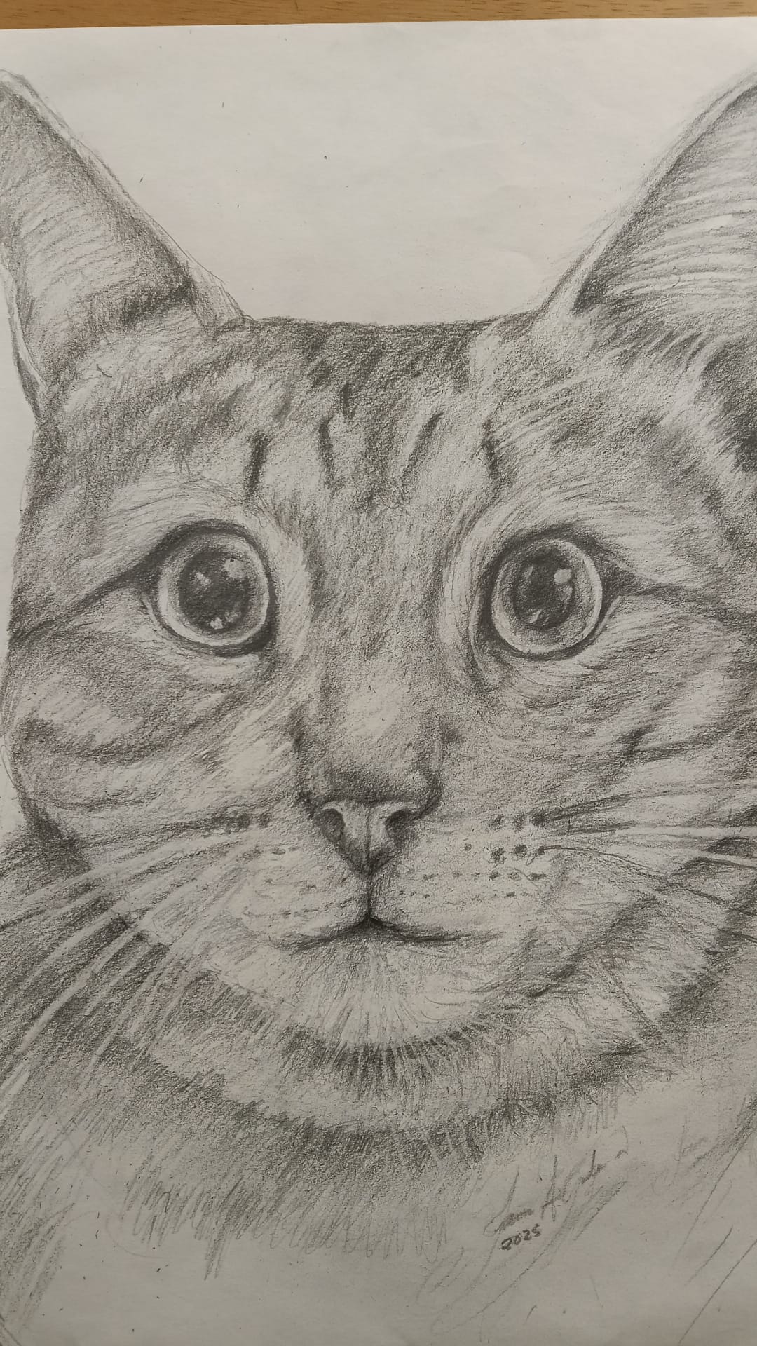 pinturas y dibujos