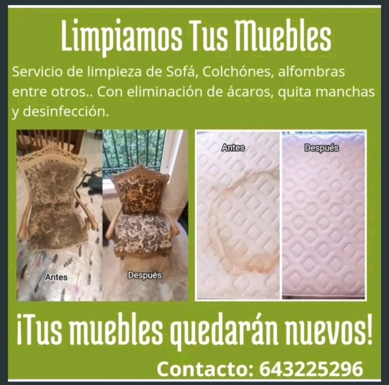 LIMPIEZA PROFUNDA DE TAPICERÍA