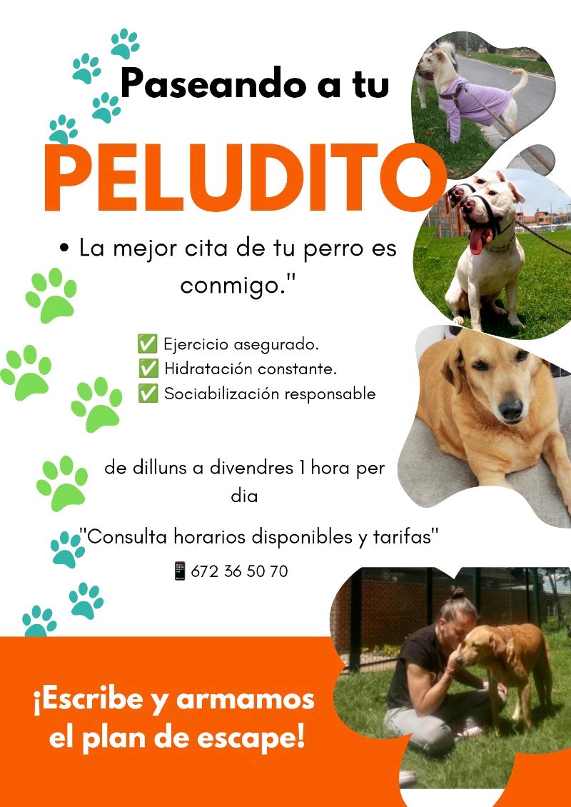 paseando a tu perruno