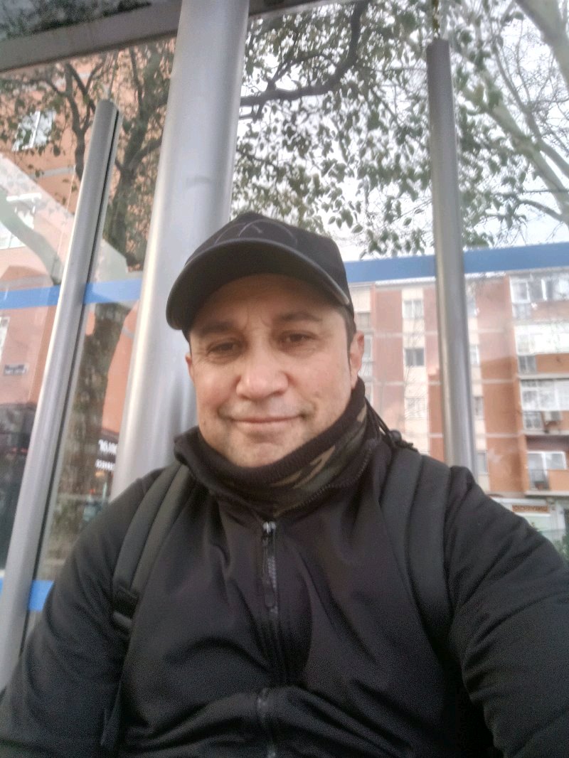 paseadorcanino. pintor de muros etc
