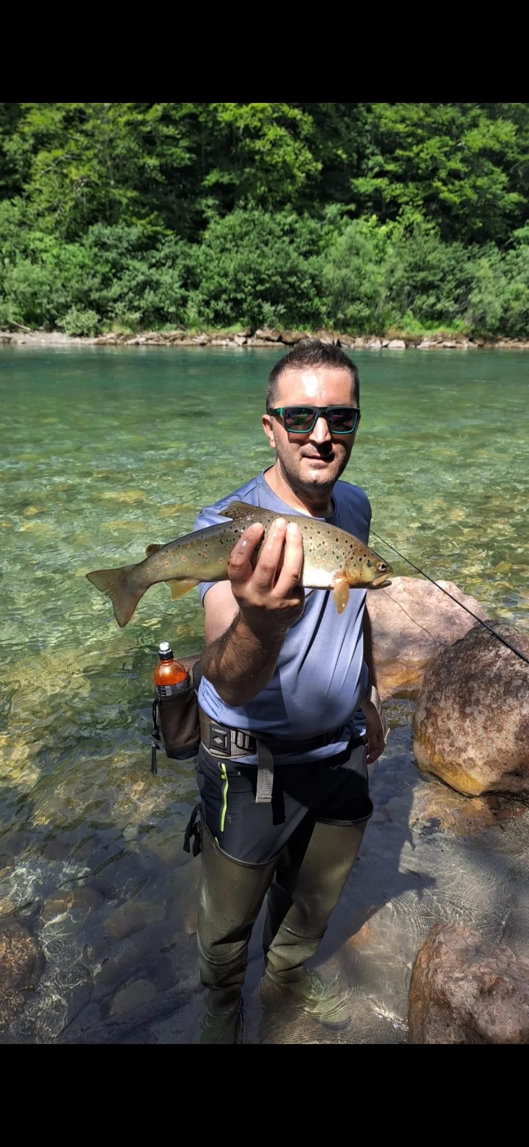 Potočna pastrmka — Drina kod Foče