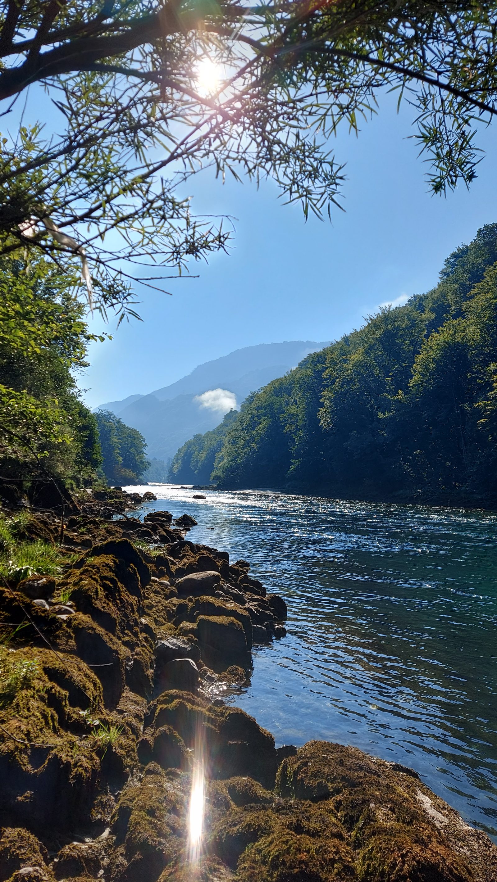 Vođeni ribolov na Drini, Tari i Ćehotini