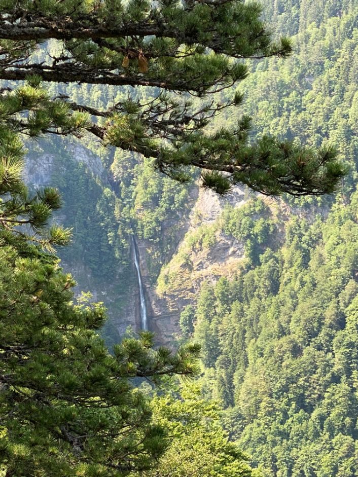 NP Sutjeska i prašuma Perućica