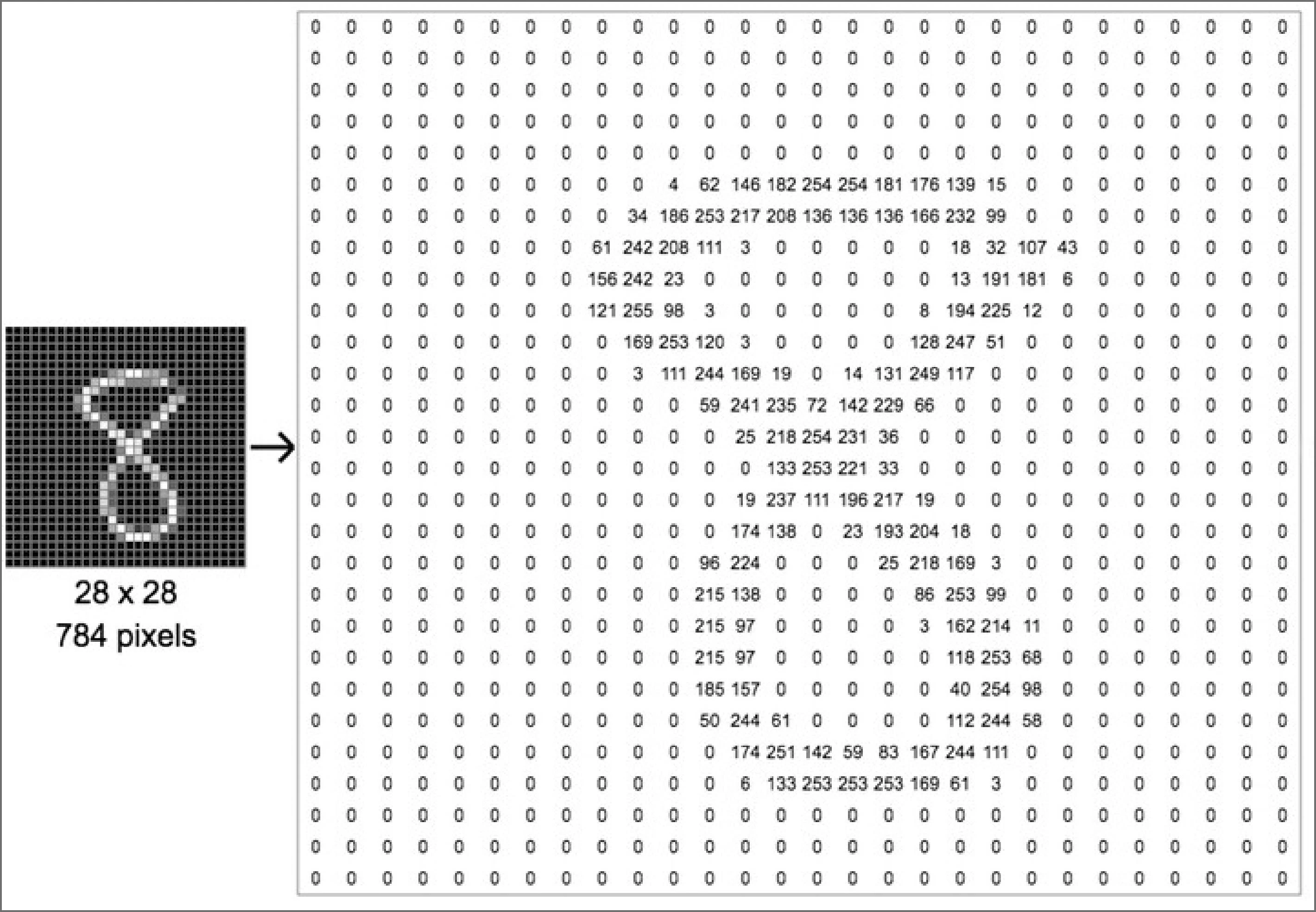 Preprocessing