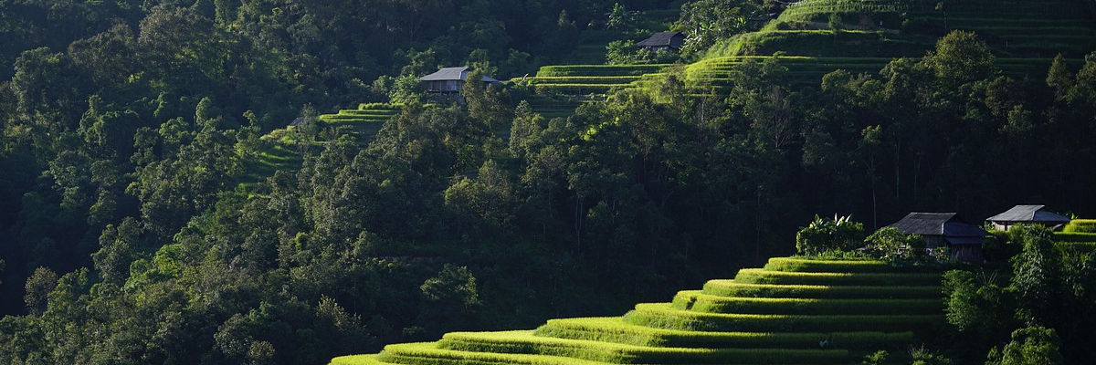 Spacious modern living room