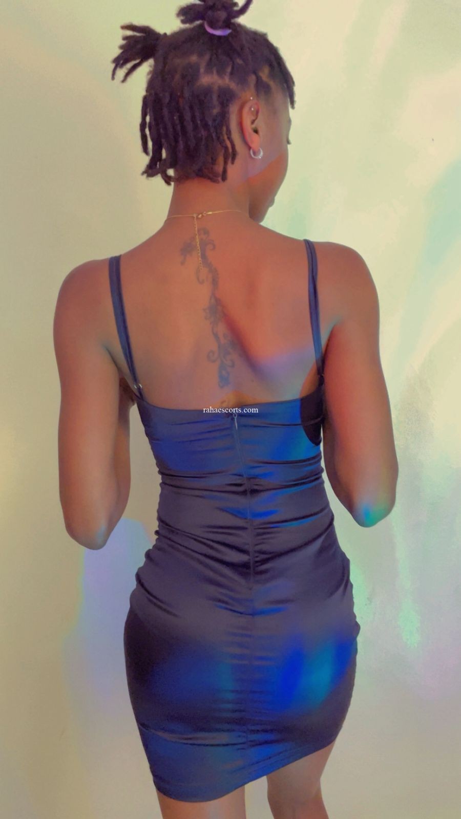 Gallery - Image 4