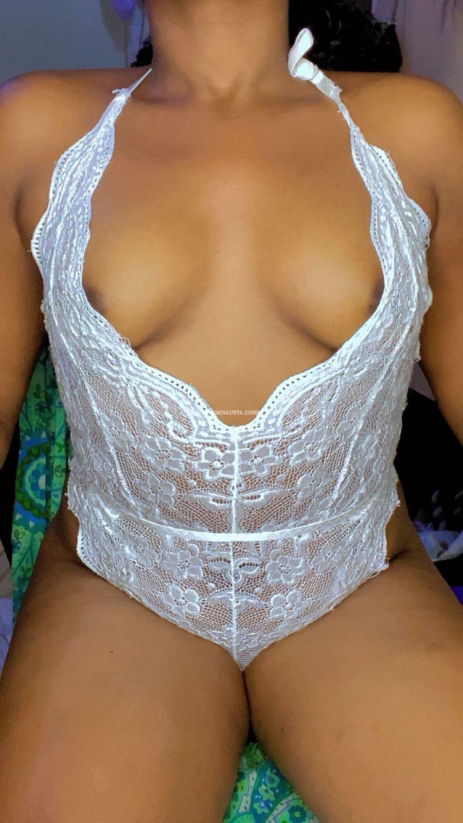Gallery - Image 1