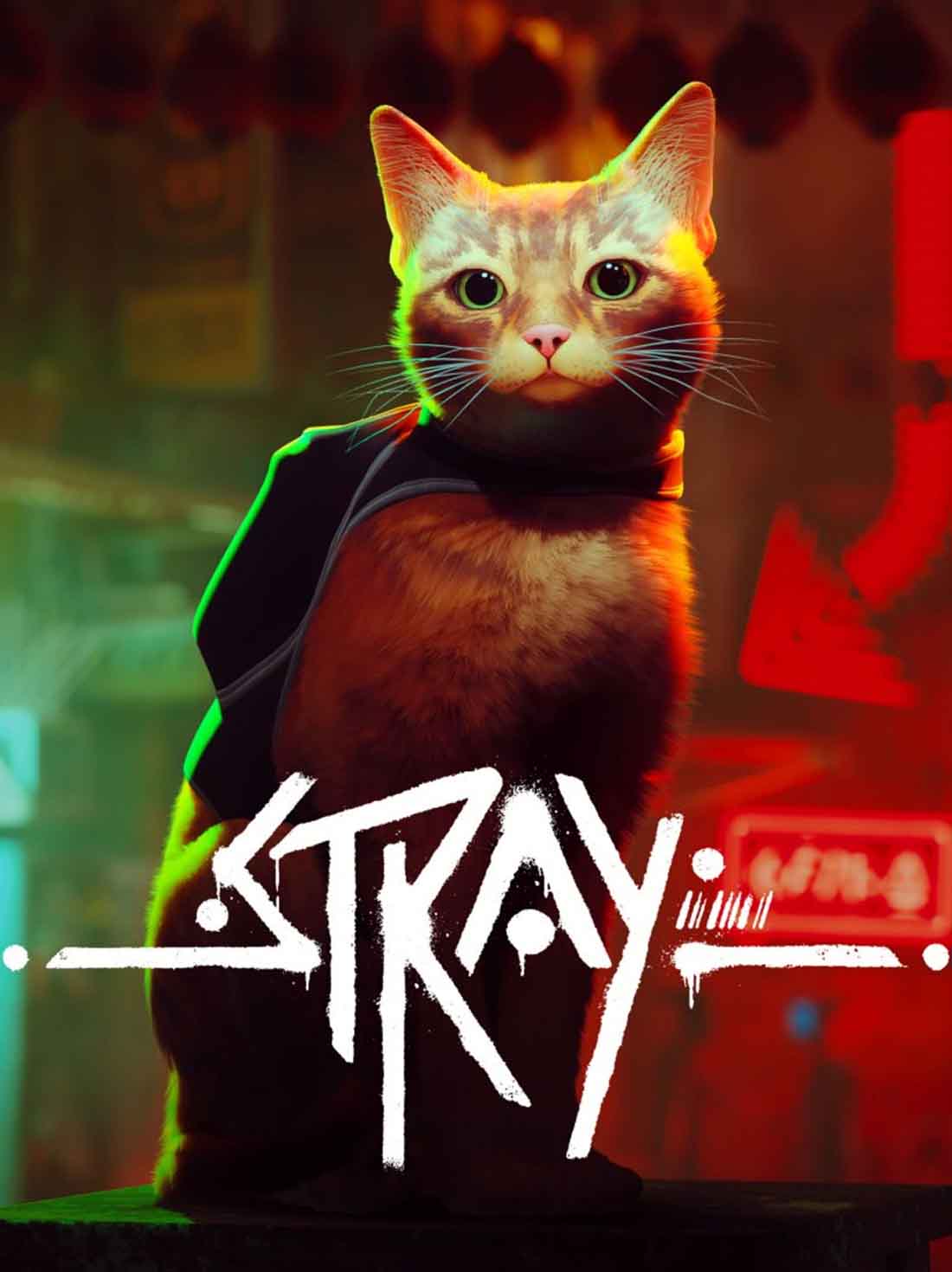 Stray - Switch