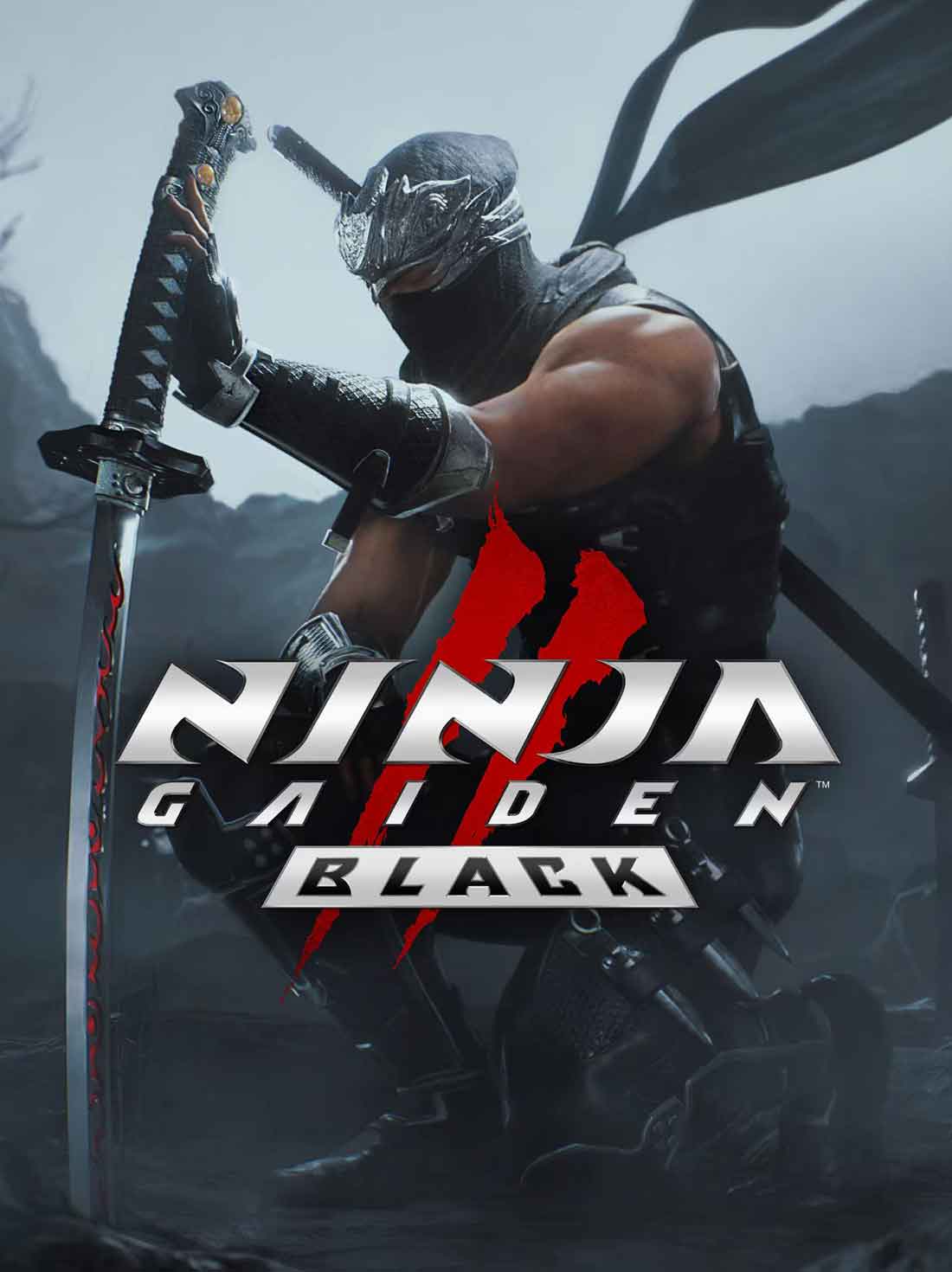 NINJA GAIDEN 2 Black Europe | Steam