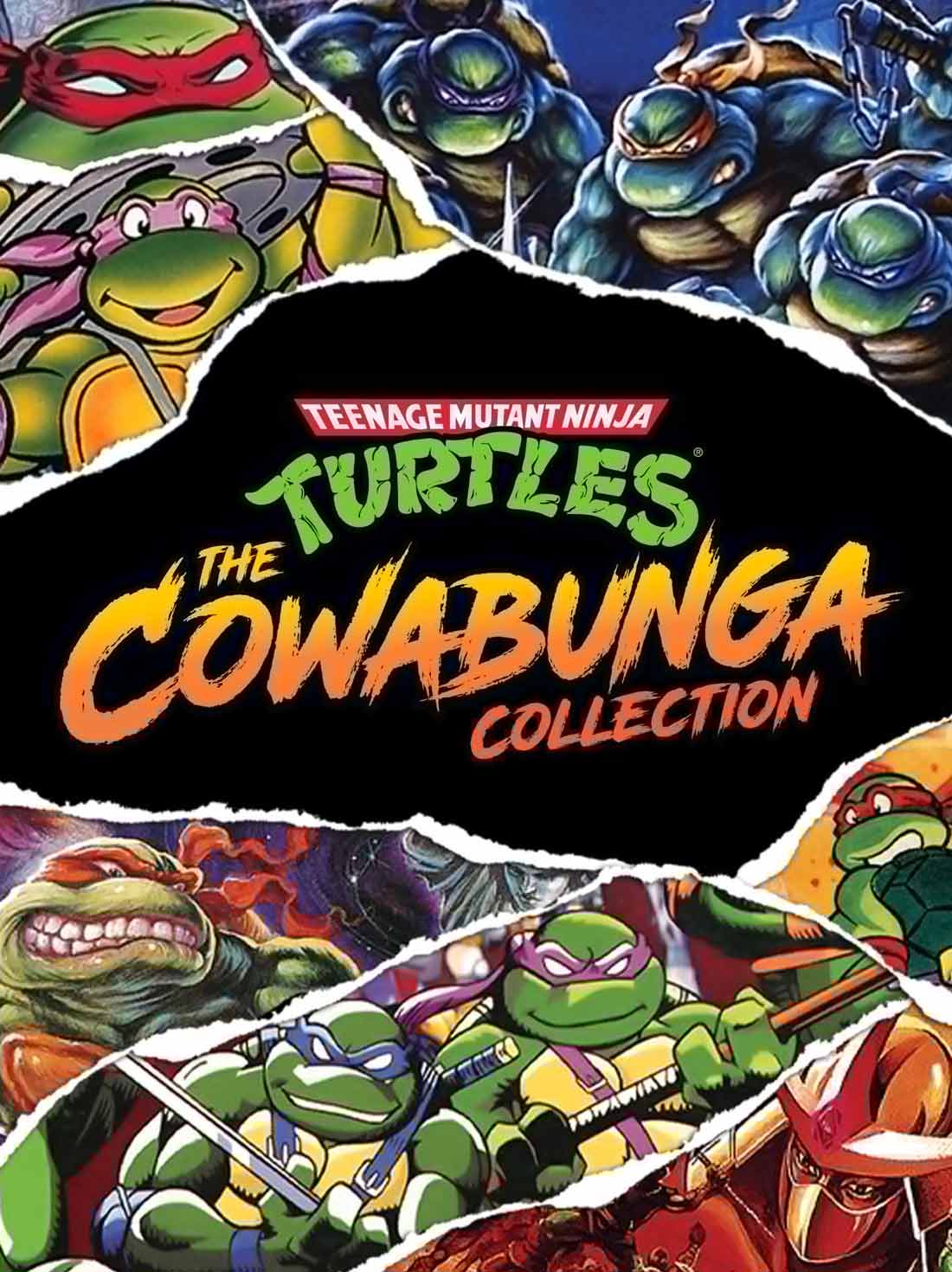 Teenage Mutant Ninja Turtles: The Cowabunga Collection USA | Steam
