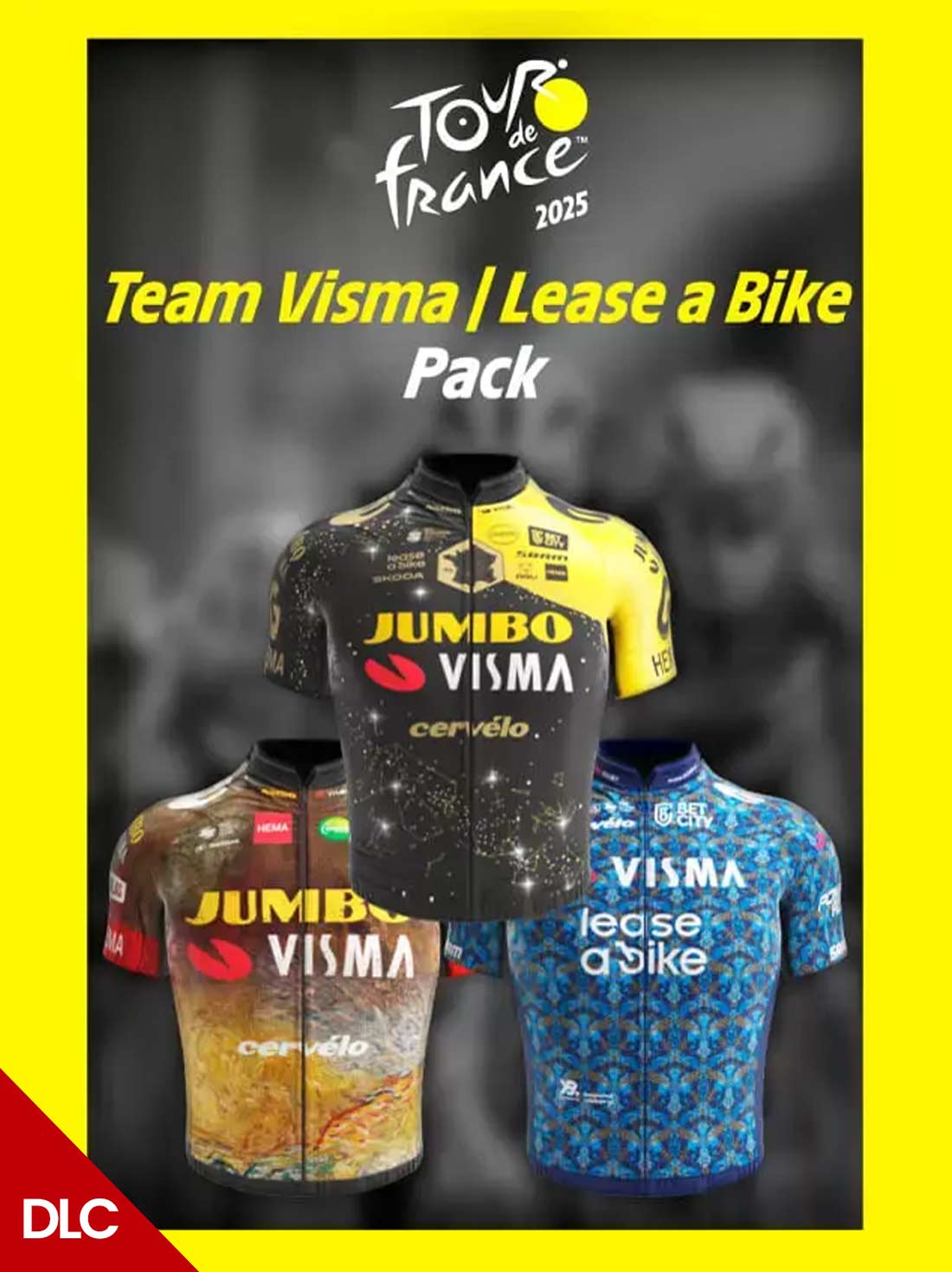 Tour de France 2025 Team Visma Europe | Steam