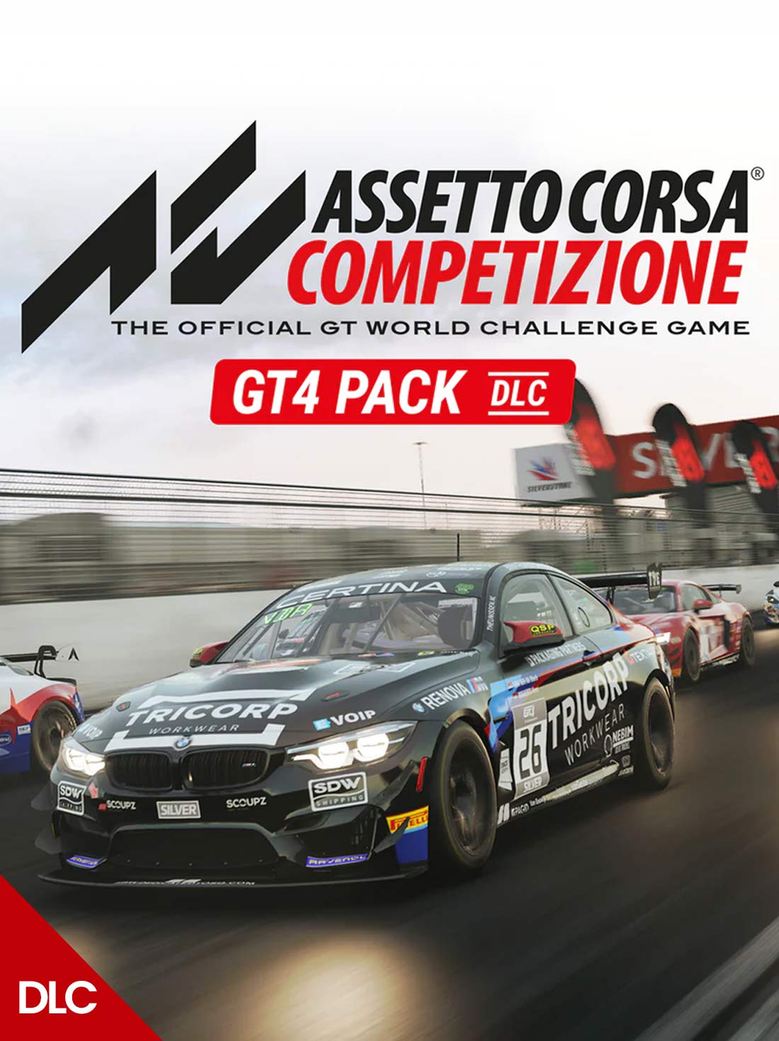 Assetto Corsa Competizione GT4 Pack DLC PC ROW | Steam