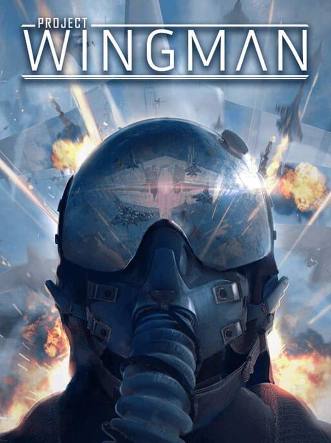 Project Wingman | Steam