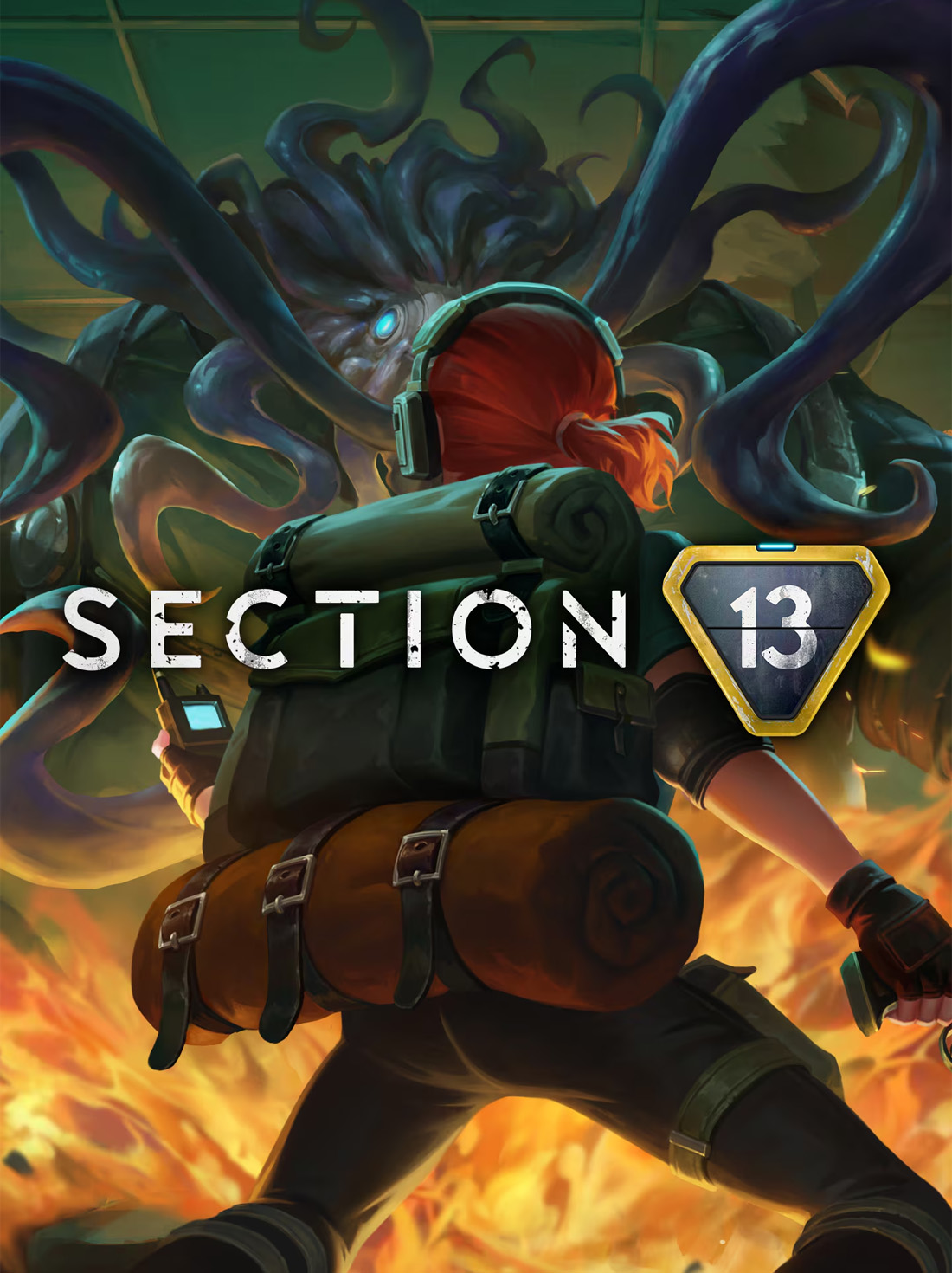 Section 13 Steam Account | Steam