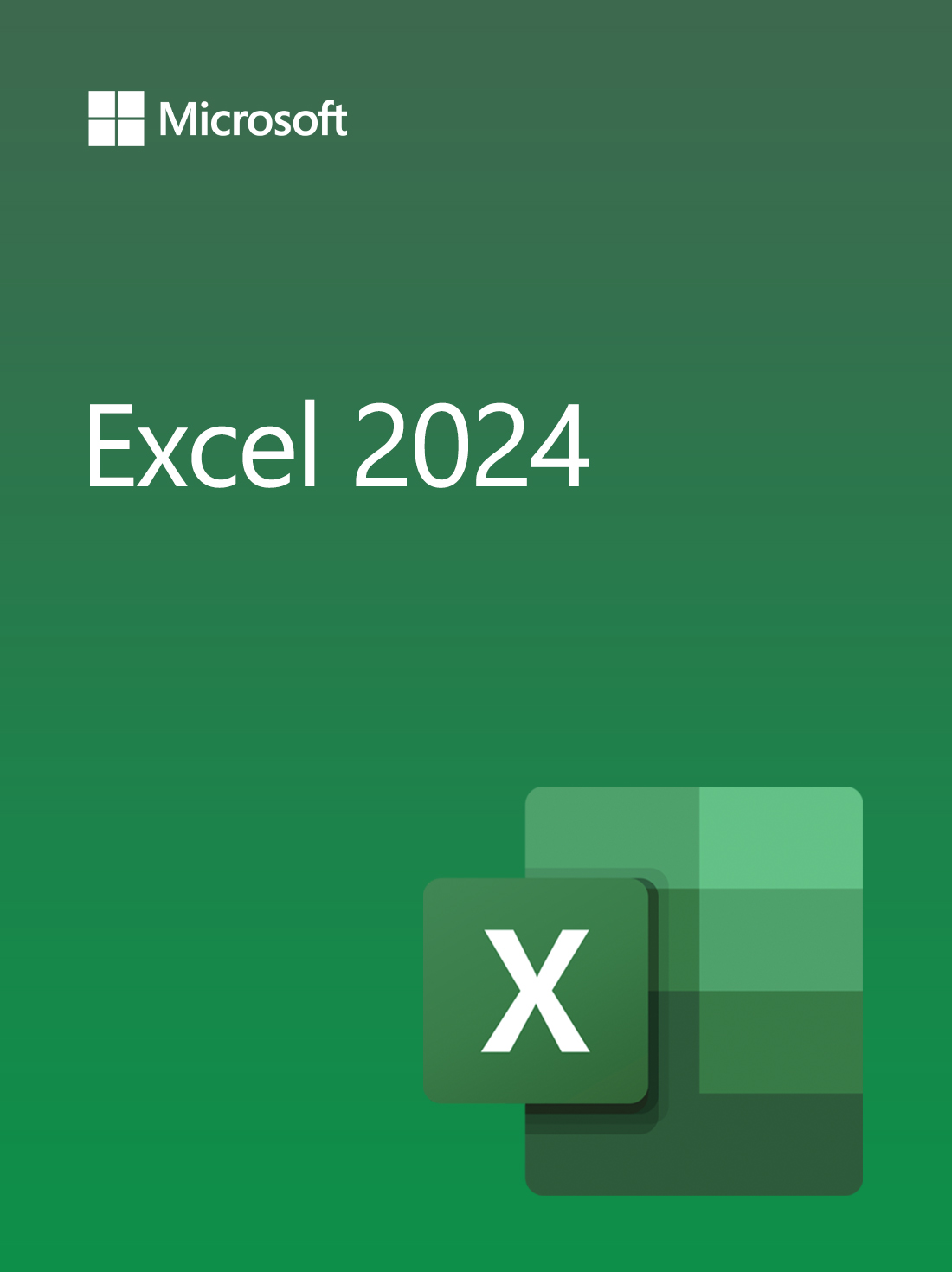 Excel 2024 | Windows