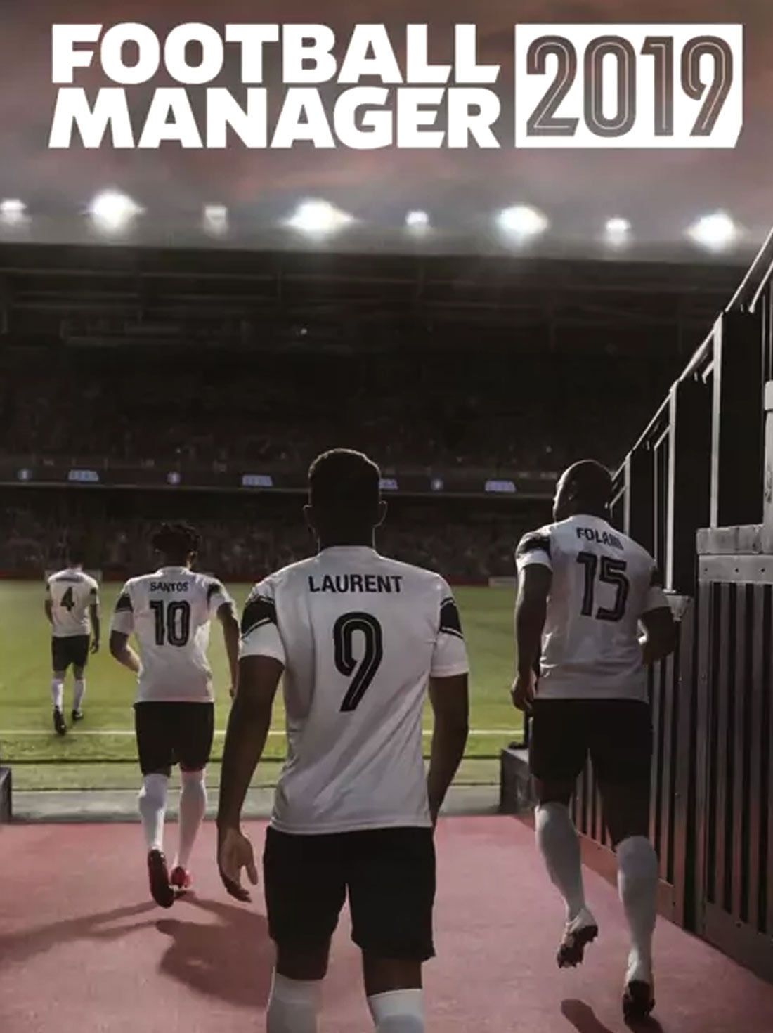 Football Manager 2019 Europe | Steam