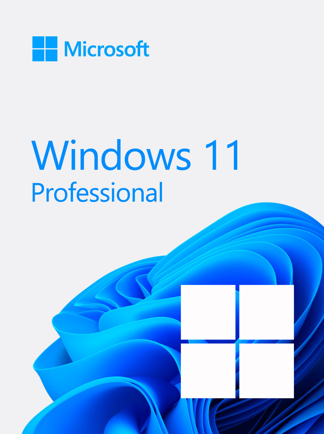 Windows 11 Professional 64 BIT OEM: Licenza Attiva