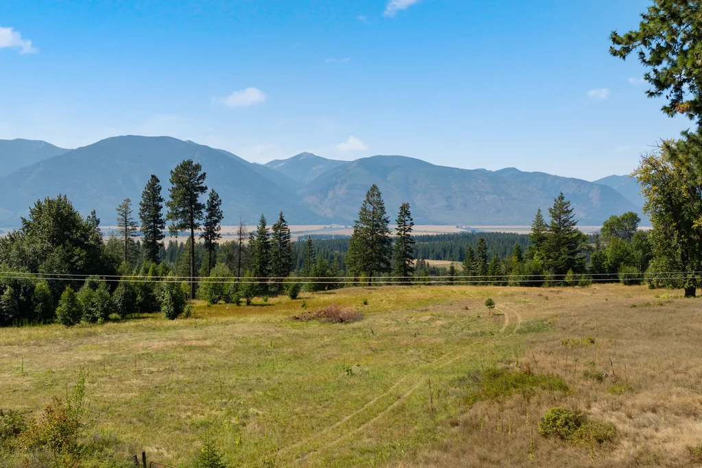 Stunning 20 acres
