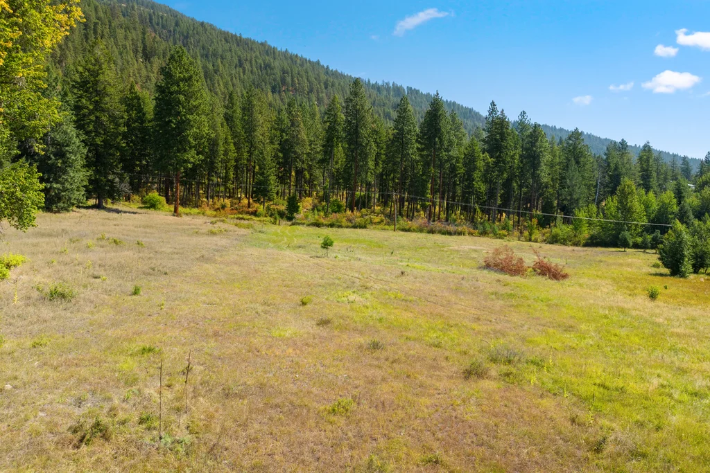 Great open space for home