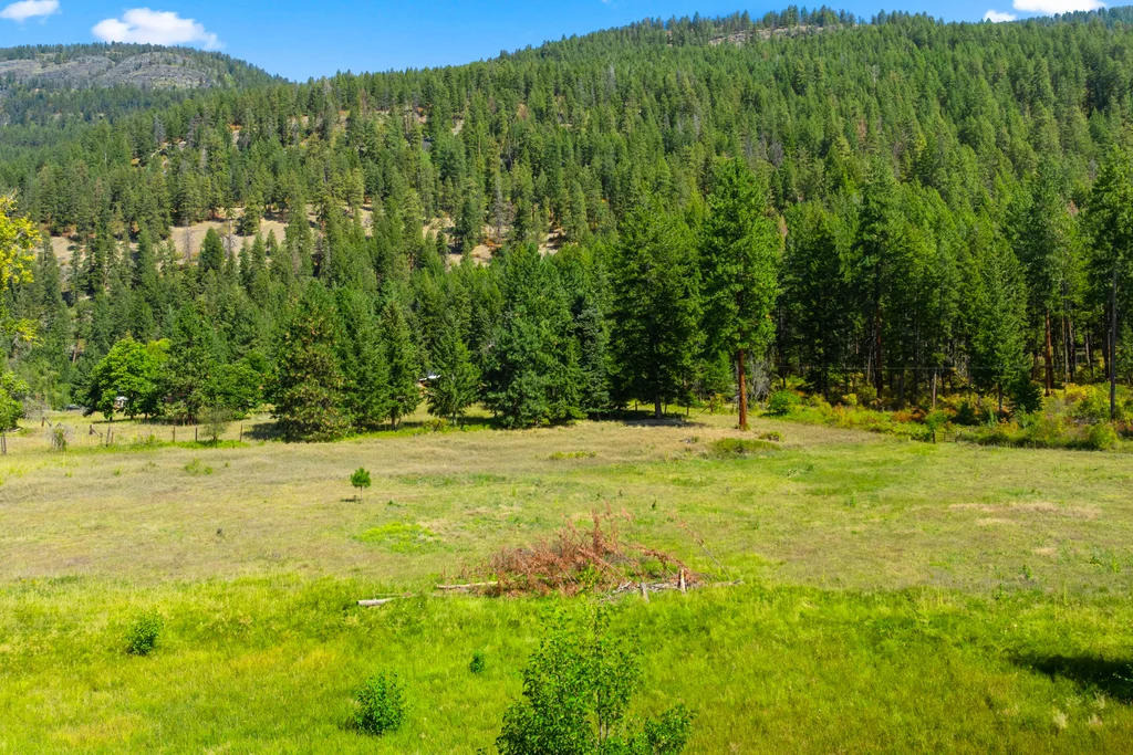 Borders National Forest Land