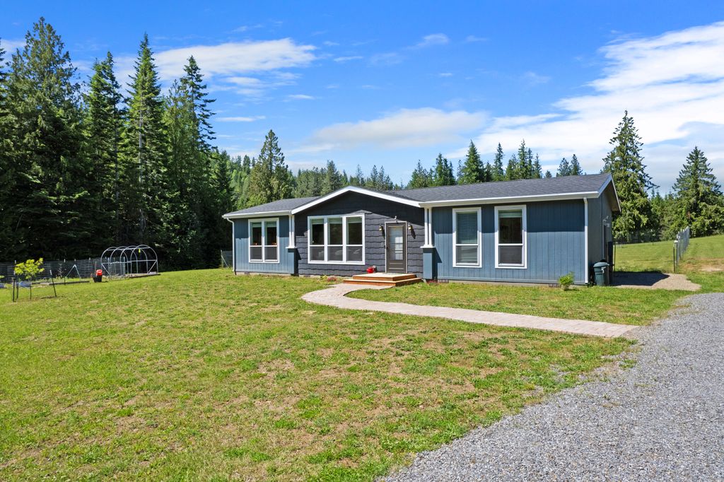 81 Shoot Fly