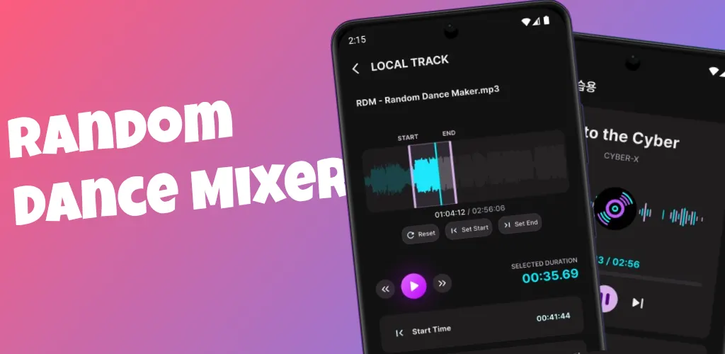 RDM: Random Dance Mixer project cover