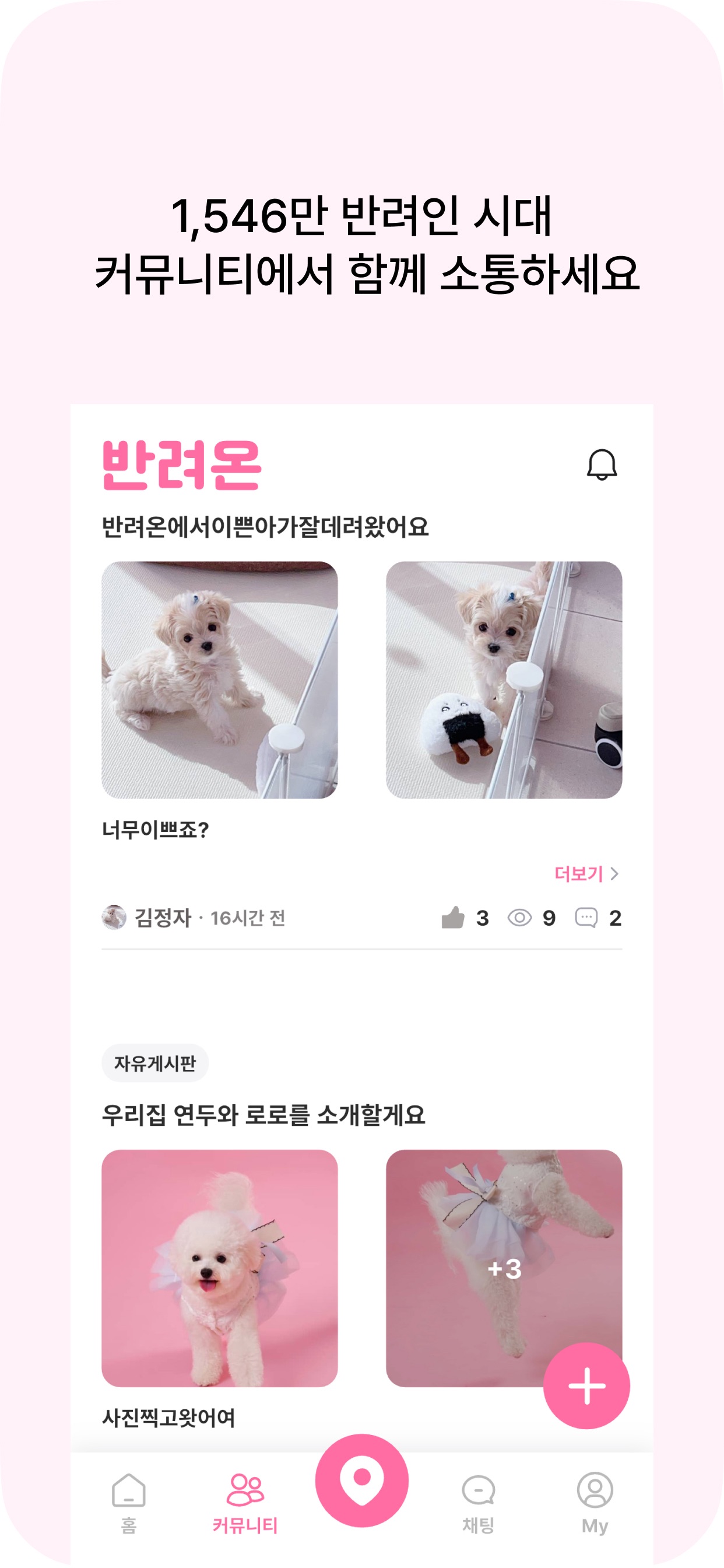반려온 프로젝트 화면 3