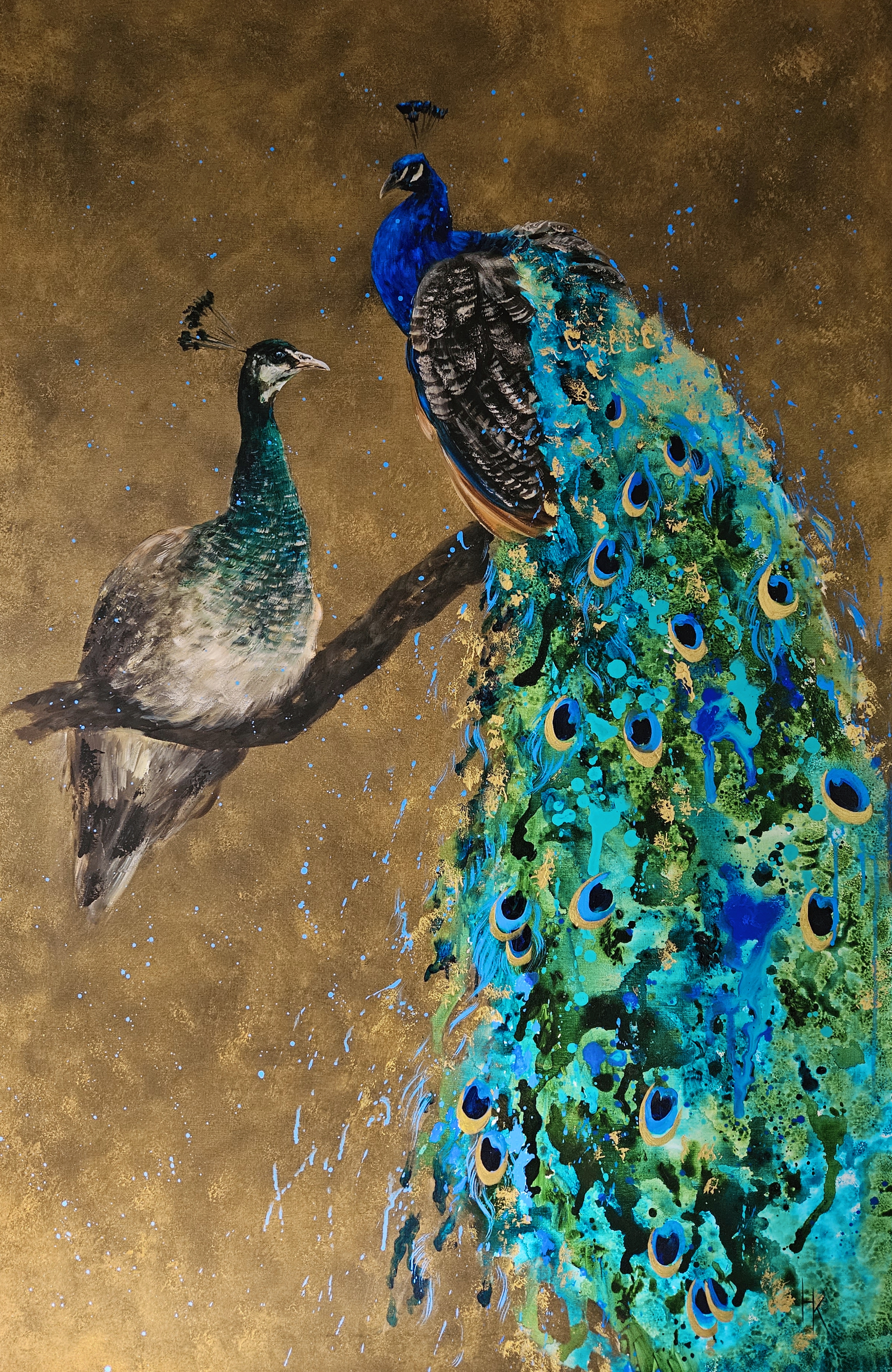 From Peacocks Series