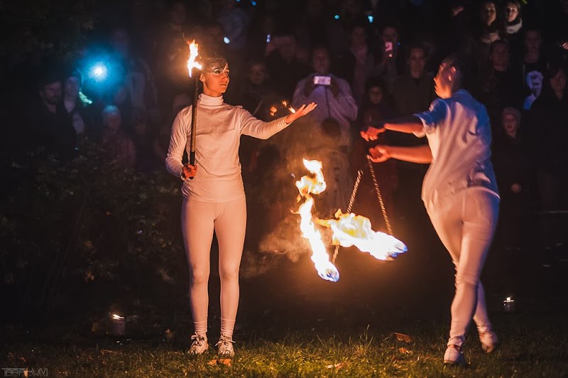 Akademia Artystyczna, Szkoła Tańca i Sztuki, Gdańsk