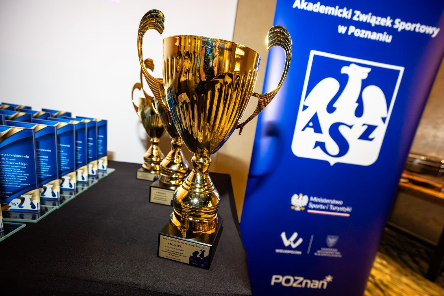 Akademicki Związek Sportowy Poznań (Organizacja Środowiskowa AZS Poznań)