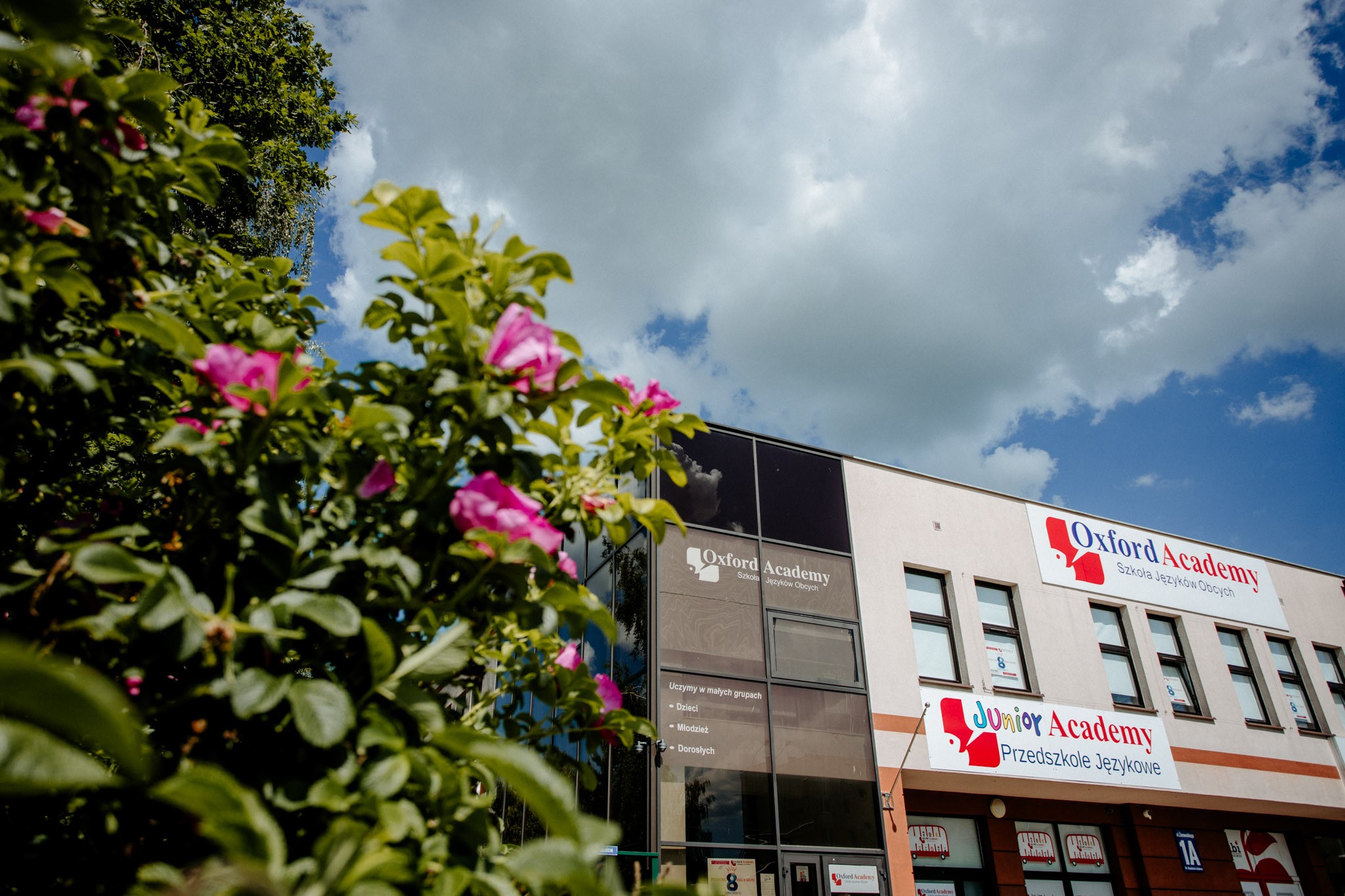 Oxford Academy - zdjęcie 4