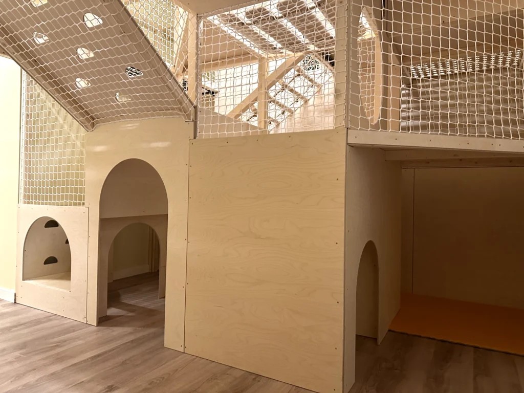 Kluboksięgarnia i sala zabaw Tęczowa Sowa - urodziny i zajęcia dla dzieci - zdjęcie 8