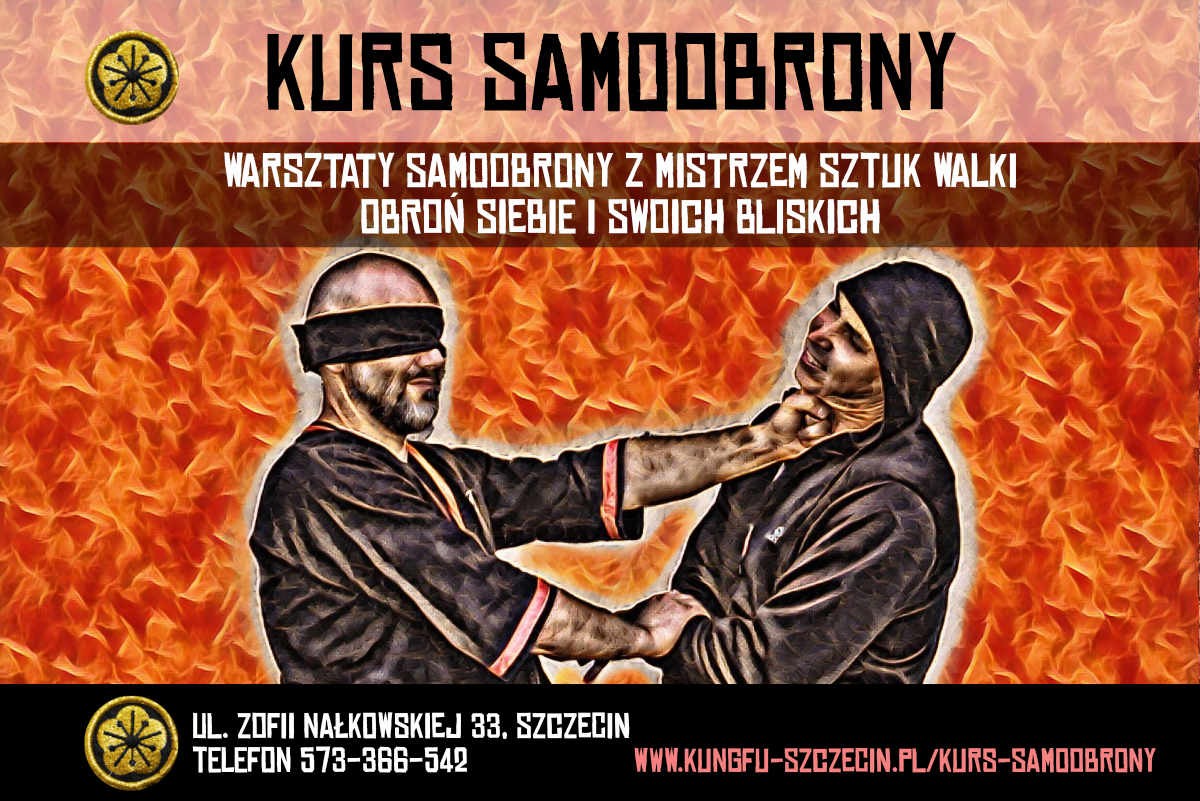 Wing Tsun Kung Fu - sztuki walki i samoobrona - zdjęcie 2
