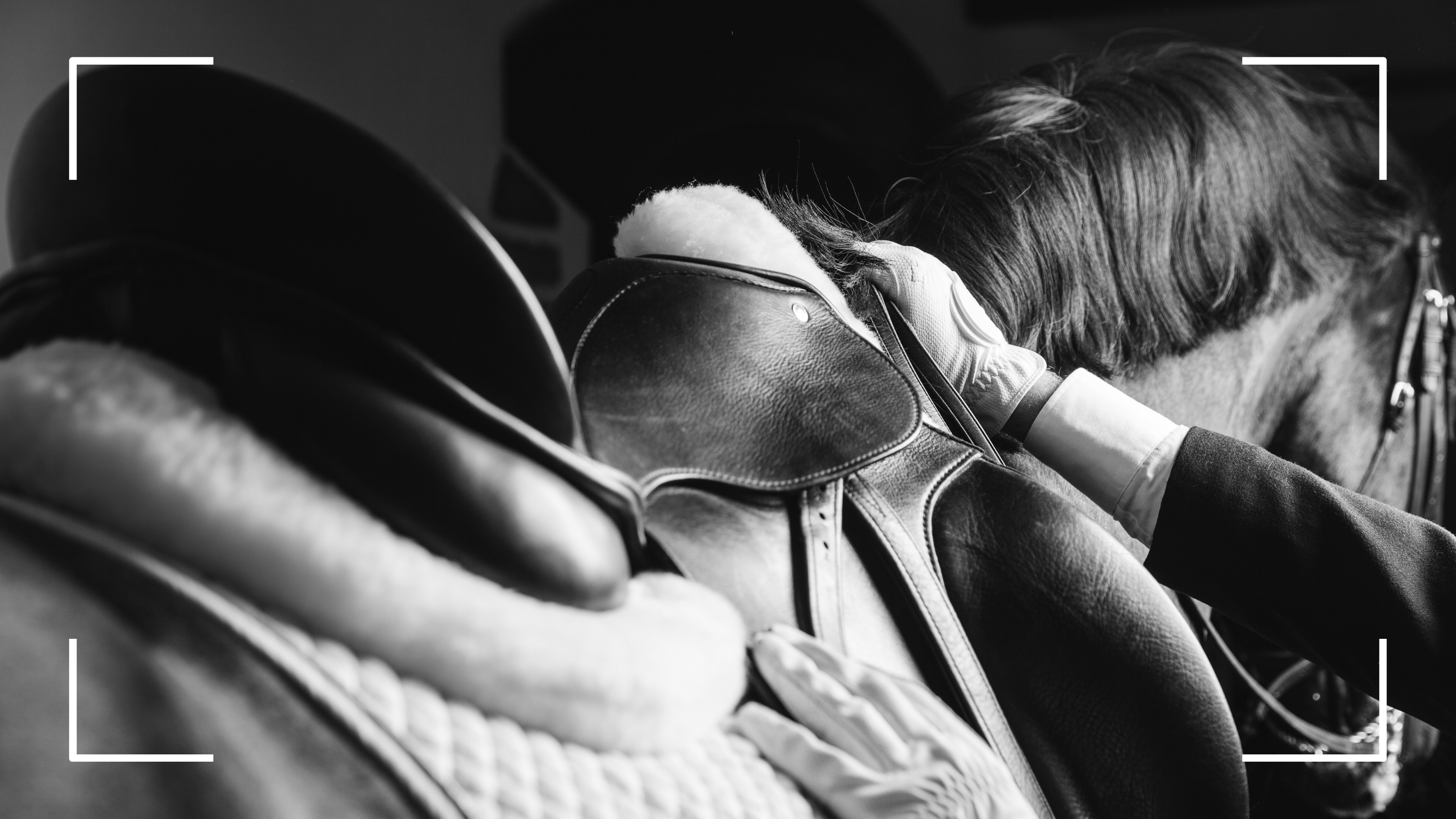 Klub Jeździecki Wiki