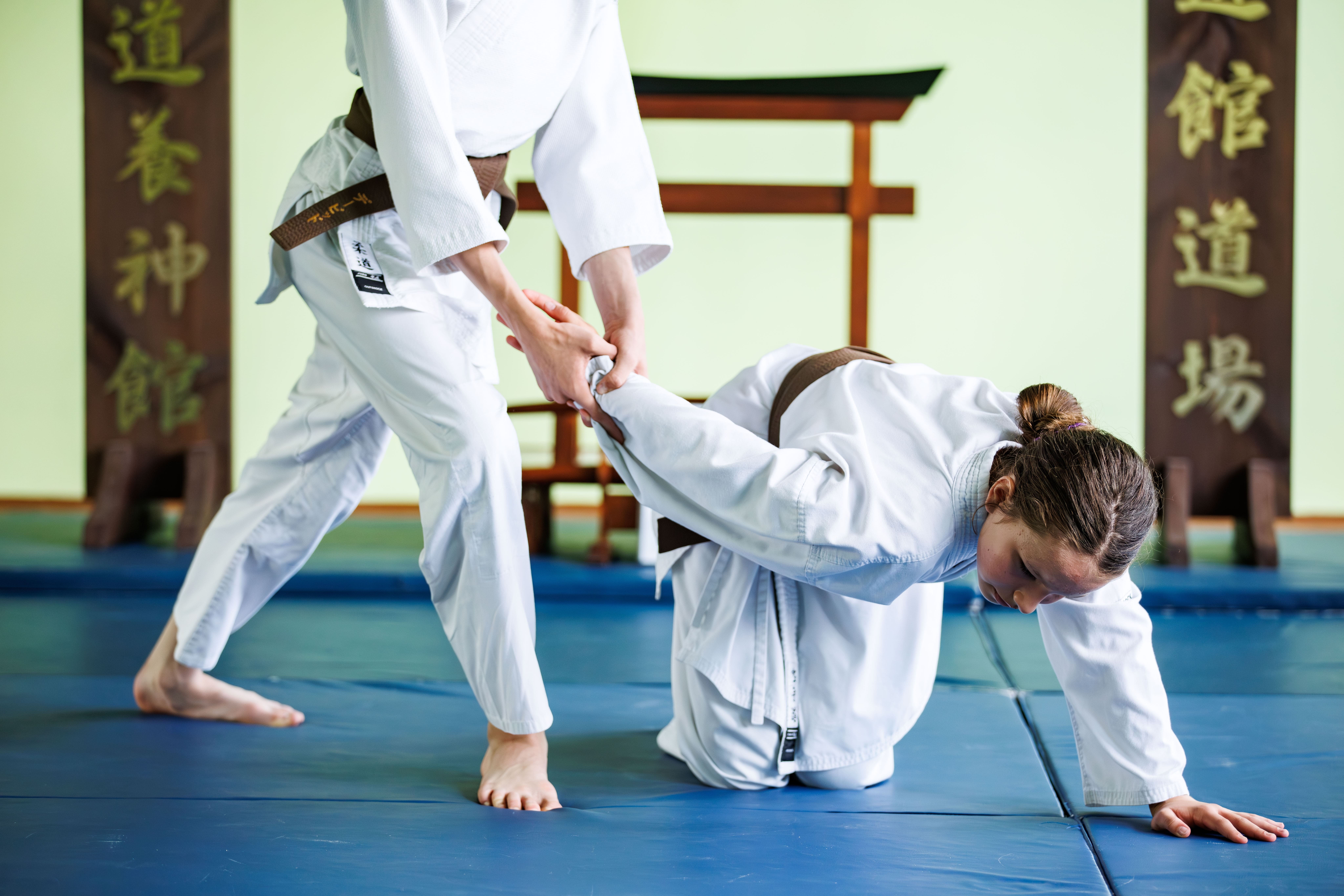 Seidokan Dojo - Yoshinkan Aikido dla dzieci, młodzieży i dorosłych - zdjęcie 10