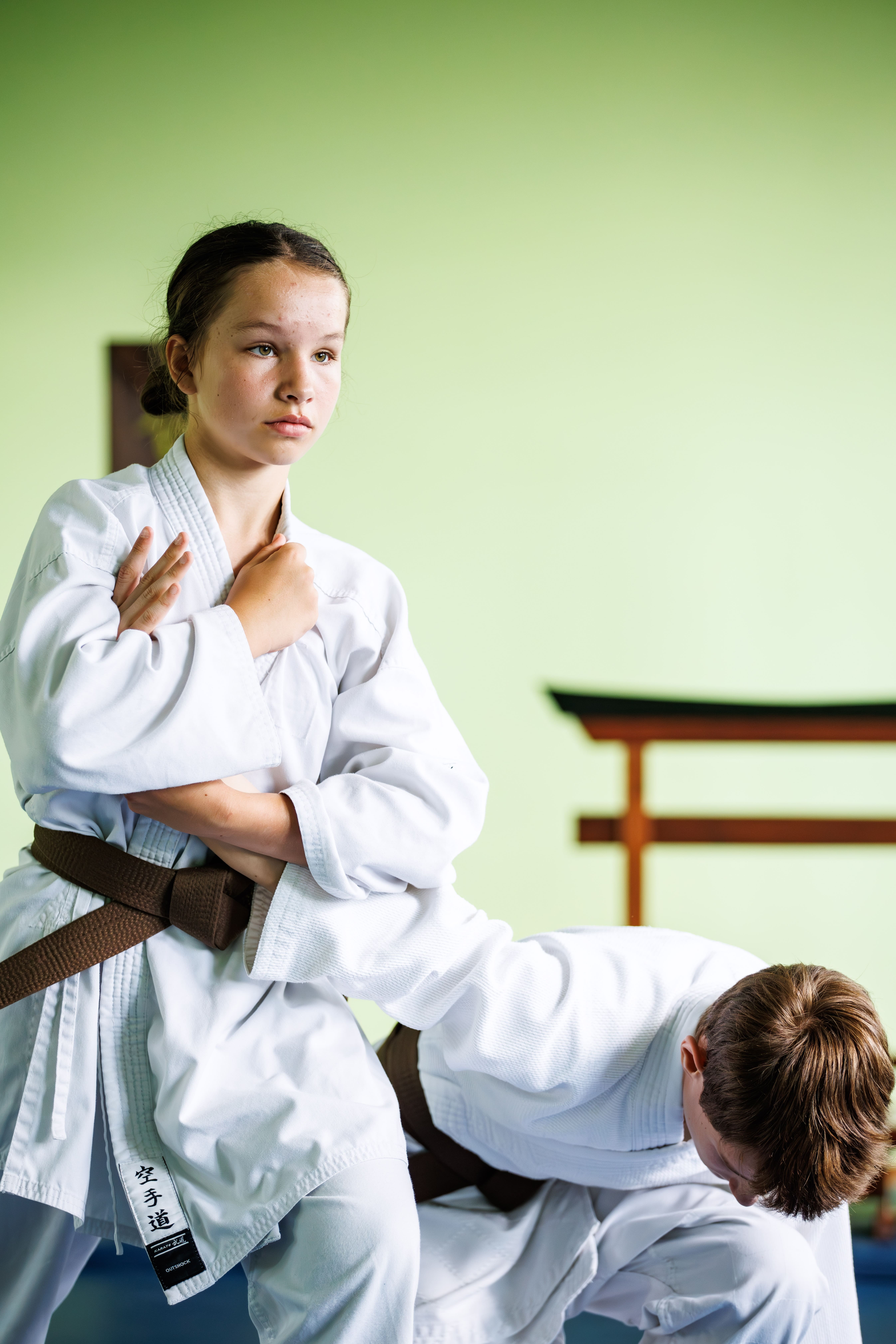 Seidokan Dojo - Yoshinkan Aikido dla dzieci, młodzieży i dorosłych - zdjęcie 11