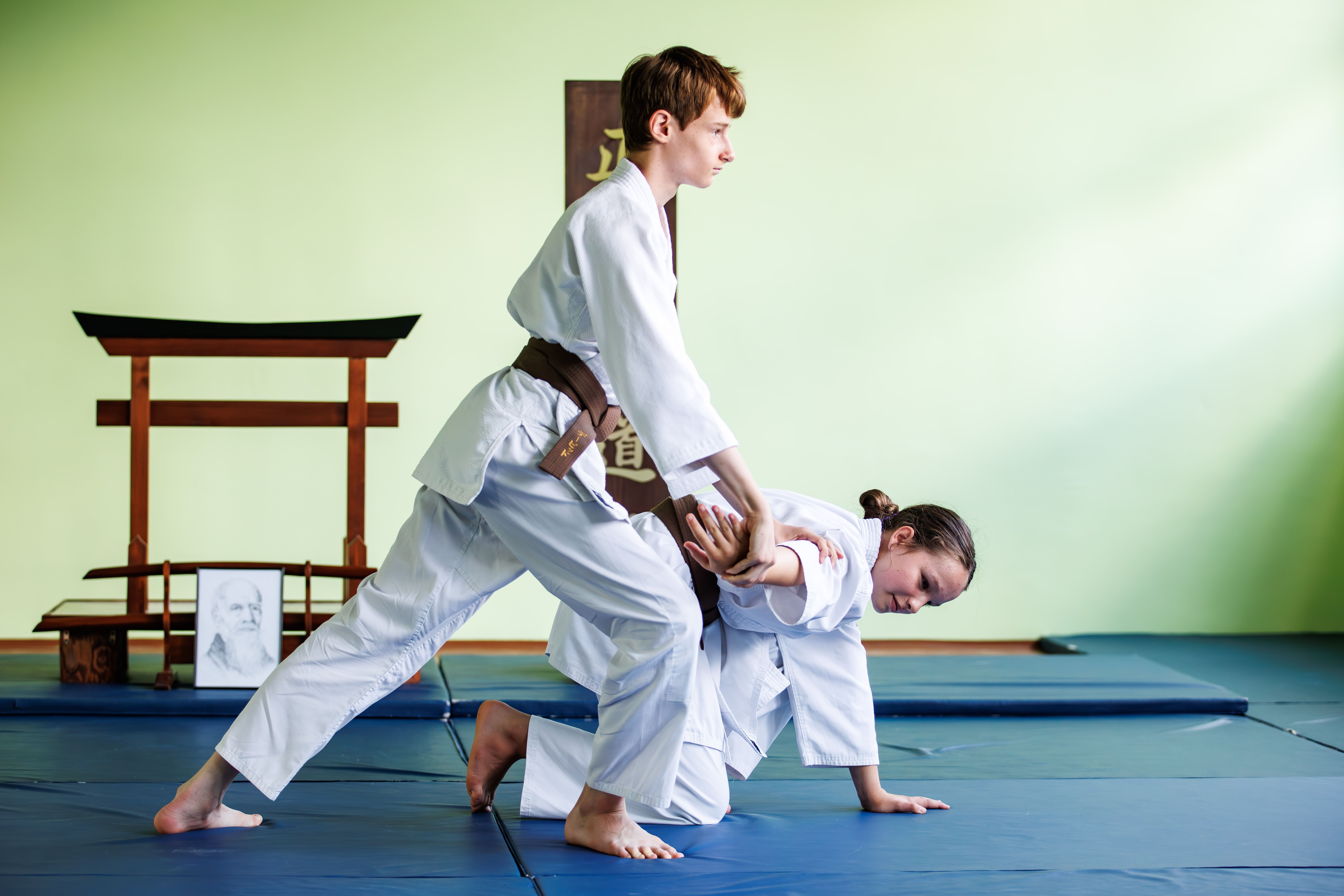 Seidokan Dojo - Yoshinkan Aikido dla dzieci, młodzieży i dorosłych - zdjęcie 9