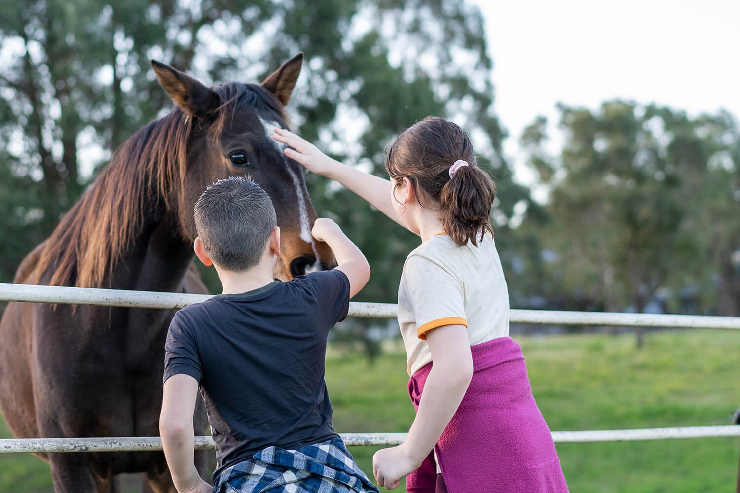 Ośrodek Sportów Konnych Gdańsk Lipce