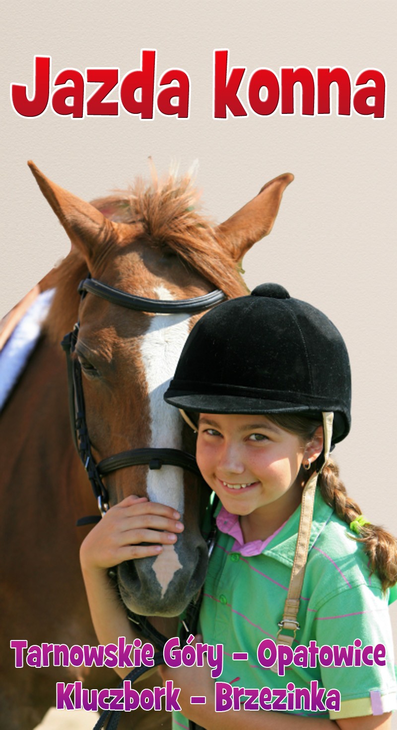 Pony-sport - zdjęcie 2