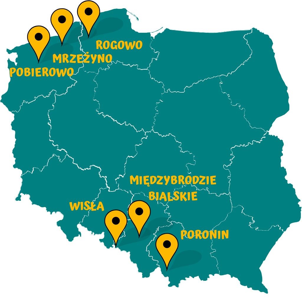 Twoja Ferajna - zdjęcie 9