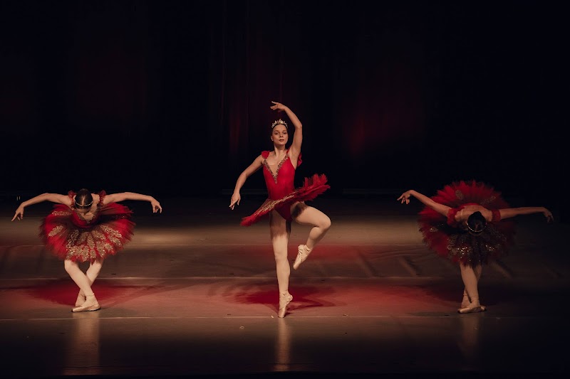 Niepubliczna Szkoła Baletowa Szkoła Sztuki Tańca Arabesque